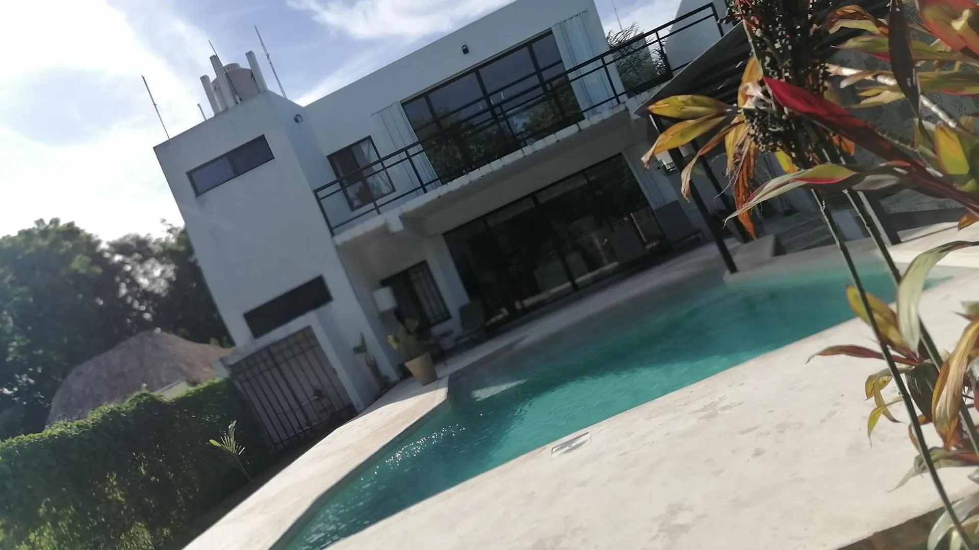 ホームステイ バカラルCasa Bosque Luciernagasアパートメント メキシコ
