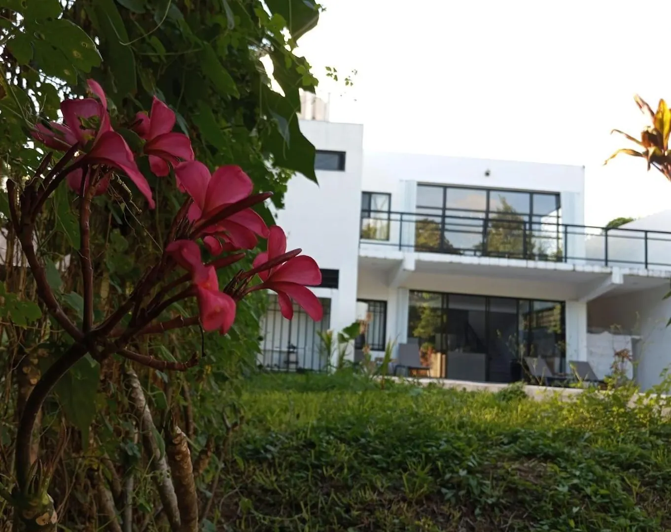 Casa Bosque Luciernagas Apartment Bacalar Homestay
